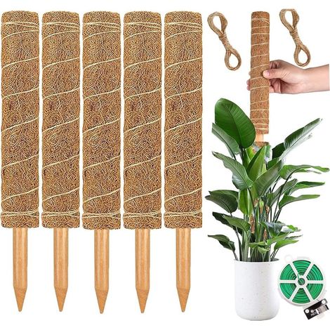 30cm Climbing Plant Support Made of Natural Moss Stems – Ideal for Monstera, Philodendron and Other Vines (1/4)
