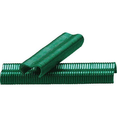Grapas verdes para enrejados - 20 mm - 960 Uds.