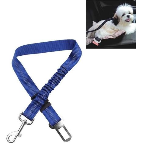 Ceinture de sécurité pour chien - Absorption de chocs élastique - Bleu (1/4)