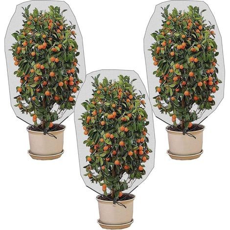 Filet de Protection Fruitier,3 Pièces Sac de Plantes Anti-Insectes Couverture,Maille Fine Maille100X80CM (1/4)