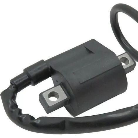 Bofromrgie d'alltoage – Pofromrr POLARIS MAGNUM 325 4X4 TRAIL BOSS 325 – Annéit 2000-2002 – Motorcycther (1/5)