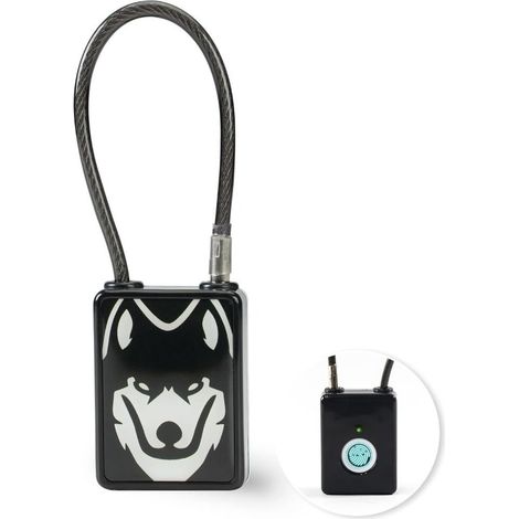 Cadenas à empreinte digitale, cadenas de casier à empreinte digitale pour casier de gym ou d'école (1/5)