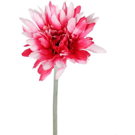 Gerbera decorativa de alta calidad en blanco y rosa, 55 cm (1/3)