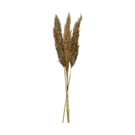 ANDREA HOUSE AX70130 Ramo Flor Pampas Nat (3Ud) 100Cm - ref: AX70130