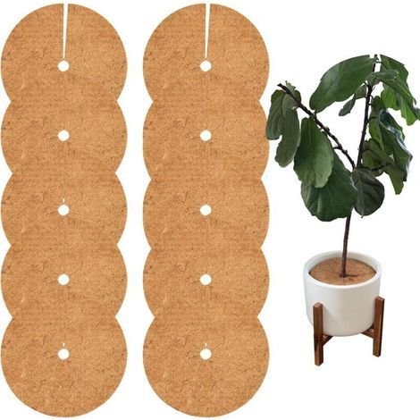 Lot de 10 disques de protection pour arbres et plantes en fibre de coco 30 cm, anti-mauvaises herbes et hydratants pour jardin (1/4)