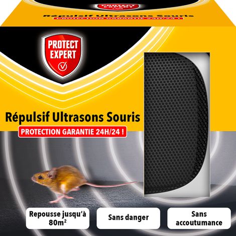PROTECT EXPERT - Repulsif ultrason intermitent souris (1/3)