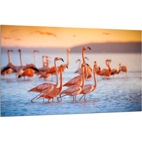 Glas-Schutzplatte für Herd 80x52 Flamingos (1/5)