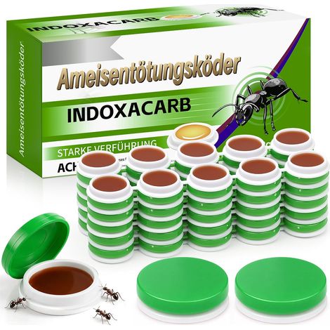Lot de 60 Piège à Fourmis Intérieur (Grün) (1/5)