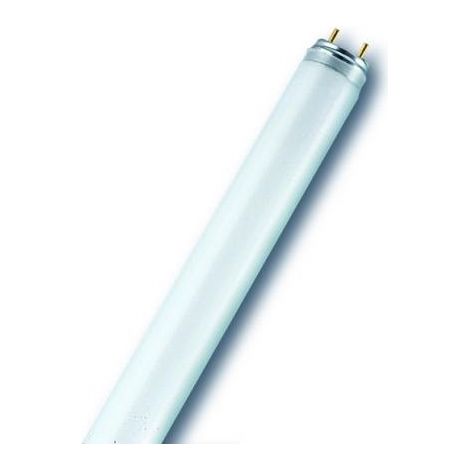 Osram – Tube led 1500mm G13 51W lumière blanche radiante 4000K – Flux lumineux 4200 lm – Tension 230V – Pour espaces confinés