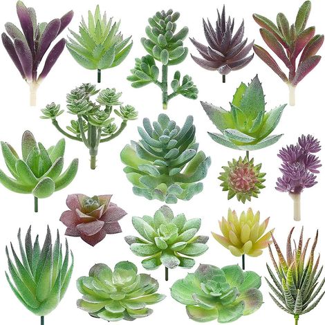 Lot de 18 mini plantes succulentes artificielles pour décoration d'intérieur et de jardin (1/5)
