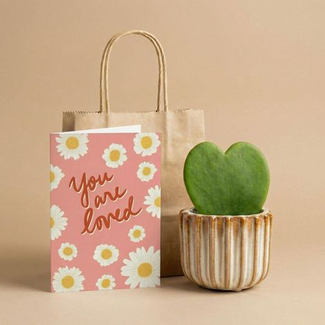 Kit Cadeau Plante Cœur Hoya kerrii avec Pot Décoratif et Sac Kraft Personnalisable - PANGIVO (1/5)