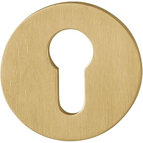 hoppe door handle rosette flat support cam stainless steel matte brass (1/5)