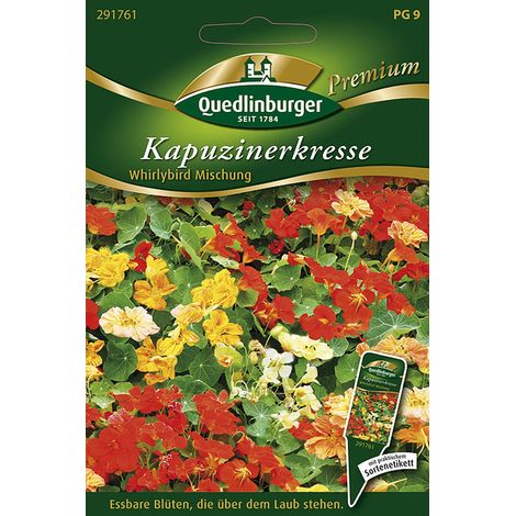 Quedlinburger Saatgut – Capucine « Whirlybird » en mélange – Graines de fleurs, semi-doubles, non grimpante, 30 cm