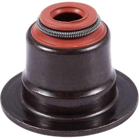 Ventilschaftdichtungssatz für BMW E53 X5 E63 E65 E70 X5 E71 X6 E87 E90 N42 N46 N62 Edition 0710