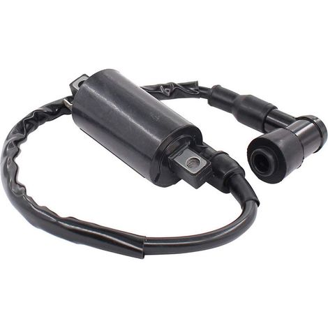 Bobine d'allumage haute tension Yamaha XV250 Virago250 (1/4)