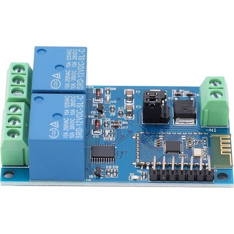 Module relais Bluetooth double canal 12 V CC pour application mobile Android et commande à distance pour maison connectée (IoT) (1/5)