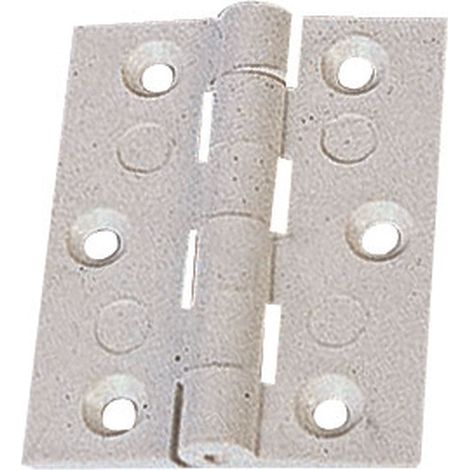 Charnières nylon avec axe inox x2