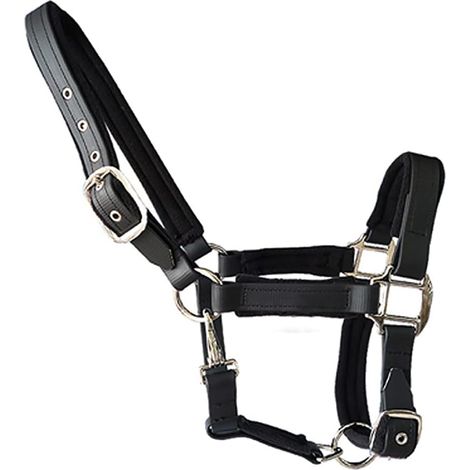 Licol pour cheval double couche en nylon épais doux rembourré pour poulain, poney âne Taille M (1/4)