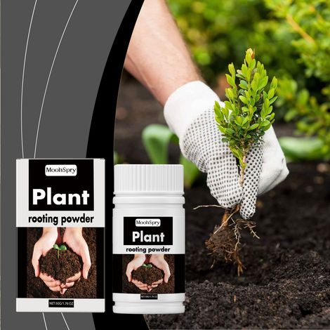 Poudre d'enracinement pour boutures, arbres transplantés, arbres fruitiers et diverses autres plantes - 50 g (1/5)