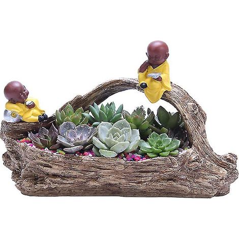 Pot décoratif pour plantes succulentes (1 pièce) (1/3)