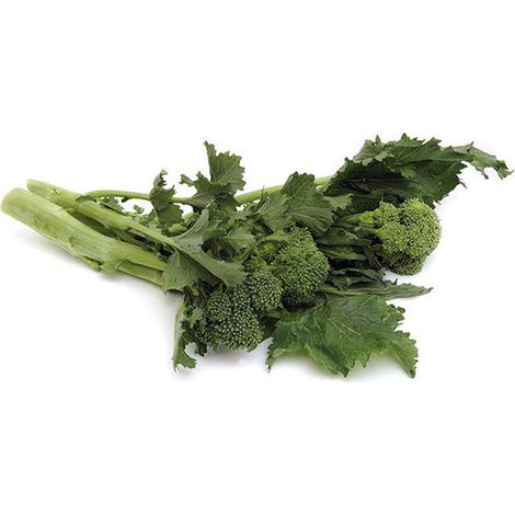 Semi di cima di Rapa "Riccia S.Marzano di marzo" piante per orto e giardino