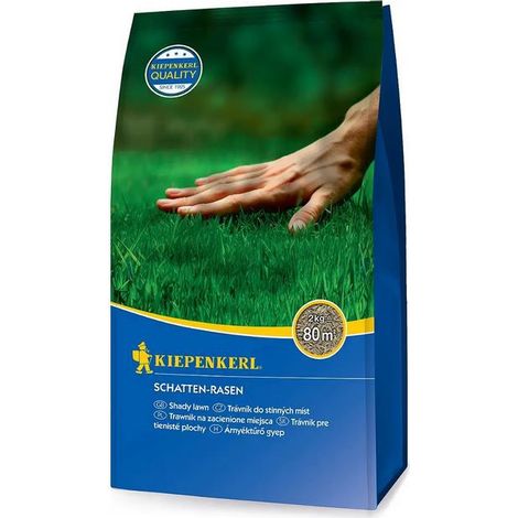 Kiepenkerl Schatten-Rasensamen, 2 kg - 651500 (1/4)