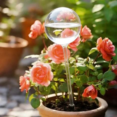 (1 arrosoir sphérique) Arroseur automatique en forme d'oiseau, système d'arrosage goutte à goutte pour jardin d'intérieur et de voyage. (1/5)