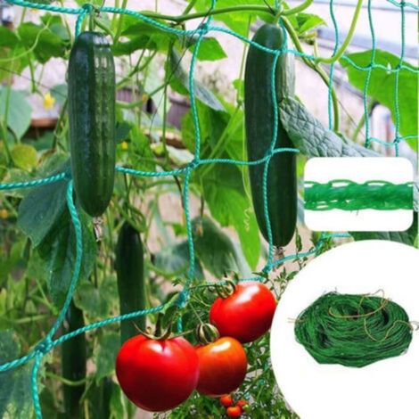 Filet pour Concombre 5 m x 2 m, Filet Jardin Treillis, Filet Plante Grimpante Exterieur, pour Tomates, Plantes Grimpantes (1/5)