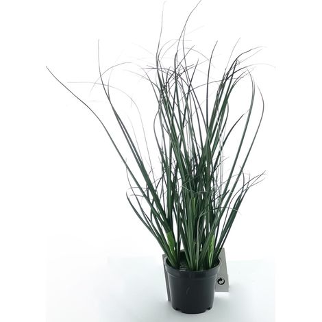 Kaemingk Drachenzahngras im schwarzen Topf 30 cm - Kunstpflanzen