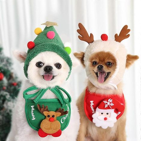 Accessoires pour animaux de compagnie : chapeau/bavoir fantaisie pour chat, chiot et chien, doux et élastique - Grand chapeau vert (1/4)