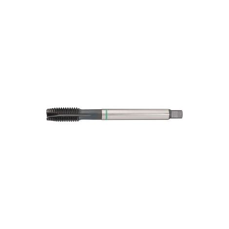 Taraudeuse machine DIN 374B Univ.MF12x1,5mm HSS-Co vap.6H TECWERK (1/2)