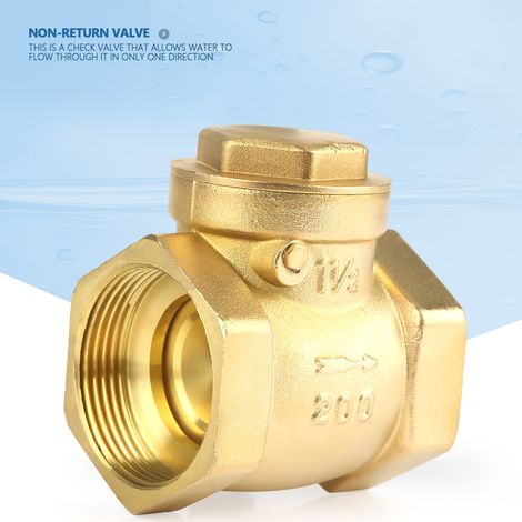 Clapet Anti-Retour Laiton Fileté Femelle DN40 16Bar Pour Empêcher Refoulement d'Eau (1/5)