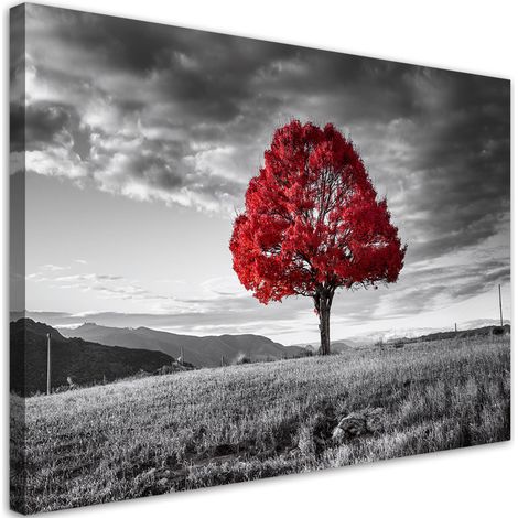 Tableau déco Arbre rouge dans un paysage de prairie 60x40 (1/5)