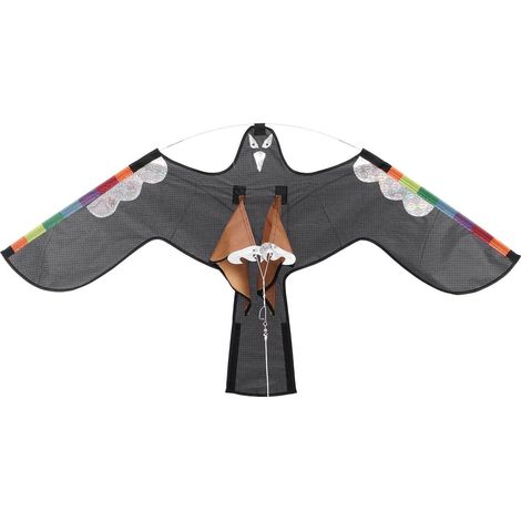 oiseaux Toit de faucon Plume R fl chissant Dragon de faucon (1/5)