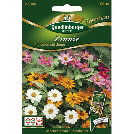 Quedlinburger Saatgut – Zinnia « Profusion », mélange – Graines de fleurs, floraison continue, couvre-sol, hauteur env. 30 cm