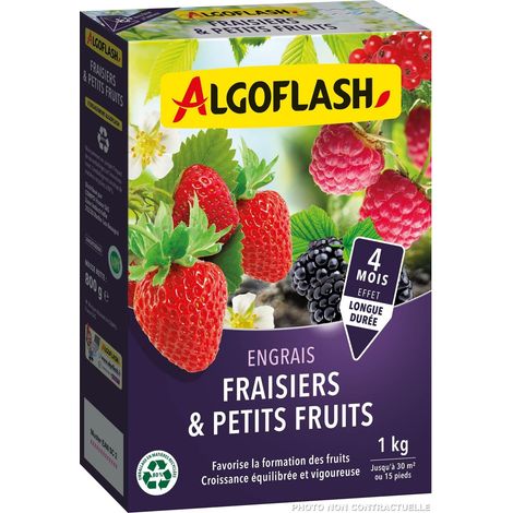 Engrais Fraisiers et Petits Fruits 1 kg FRAI1N (1/5)