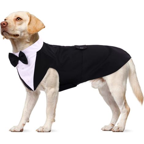 Costume de Mariage pour Chien Smoking Élégant avec Nœud Papillon Bandana Ajustable pour Petits Moyens et Grands Chiens Vêtement de Fête Cérémonie d'Anniversaire (1/5)