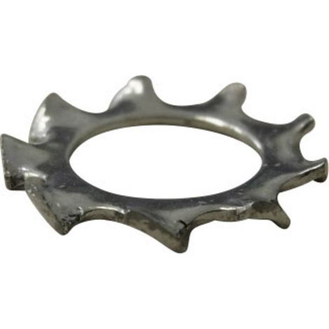 TOOLCRAFT 815110 Rondella dentellata Diam int: 8.4 mm M8 Acciaio zincato 100 pz. (1/2)