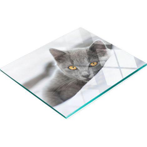 Tablero decorativo multifuncional de vidrio templado con dise帽o de gato gris, 60x52 cm.