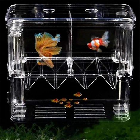 Aquarium d'élevage de poissons en acrylique double paroi avec boîte d'éclosion transparente et détachable pour guppys et crevettes (1/5)