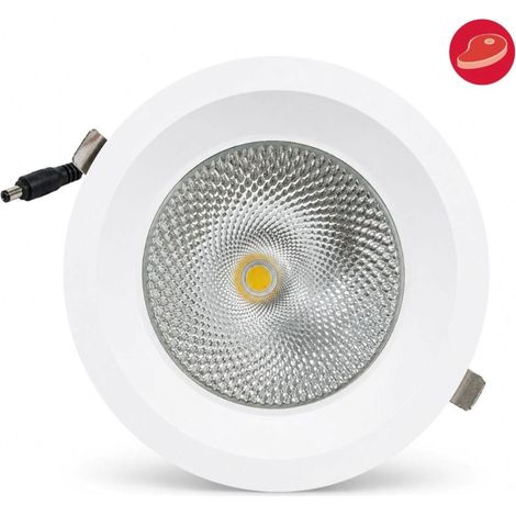Downlight LED Empotrable- Chip Especial Para Carnicerías - (1/5)