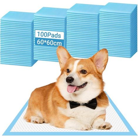 Lot De 100 Coussins Hygiéniques Pour Chiens Et Chiots 60X60Cm,6 Couches,Ultra Absorbants,Anti-Fuites,Matelas À Langer Jetabl[IN22] (1/5)