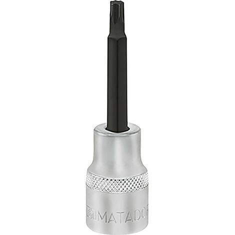 Schraubendreher-Einsatz, lang, TORX®, 12,5 mm (1/2"): TX 55x100 m (1/2)