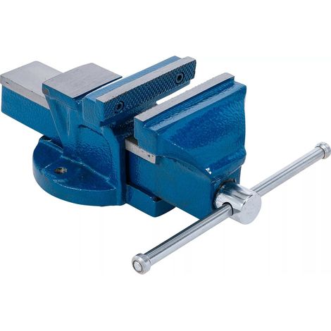 BSG Schraubstock 100mm - Parallelschraubstock mit Amboss + gehärtete Spannbacken, Spezialguss