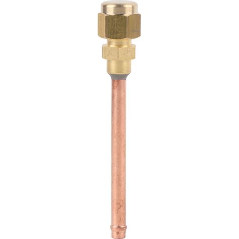 Brass Service Valve Welding Connection Manual Driving Mode Single Direction Access Valve(R410) (1/5)