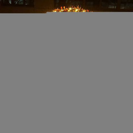 Guirlande Lumineuses Filet,192 LED Filet Lumineux 3M X 2M 8 Modes énergie étanche,Dimmable pour Chambre Noël Mariage Soirée Maison Jardin,Blanc Chaud (1/5)