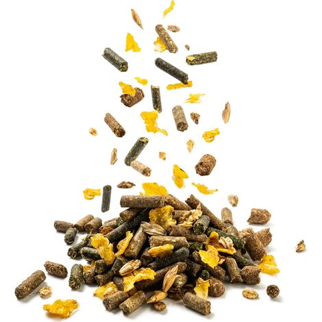 Alimentation poulain 20kg, Aliment jument gestante, Aliment chevaux élevage