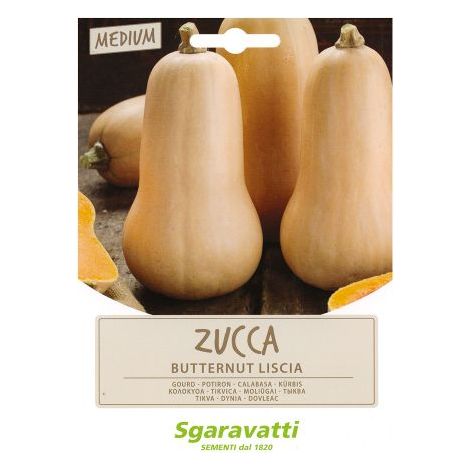 SEMI PER ORTAGGI E VEGETALI zucca butternut liscia 10 PZ