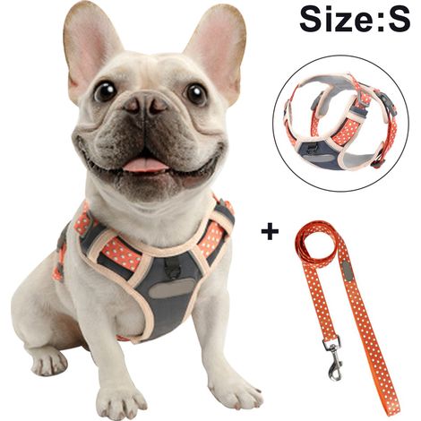 Harnais de poitrine pour chien avec corde de traction, gilet respirant pour animaux de compagnie pour la promenade, le dressage et le contrôle en extérieur pour les races moyennes et grandes.