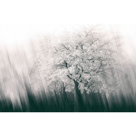 Papier peint panoramique original arbre fleuri | Tapisserie panoramique nature pour bureau | Papiers peints panoramique idéal pour chambre - 270 x 400 cm (4 pièces) (1/2)